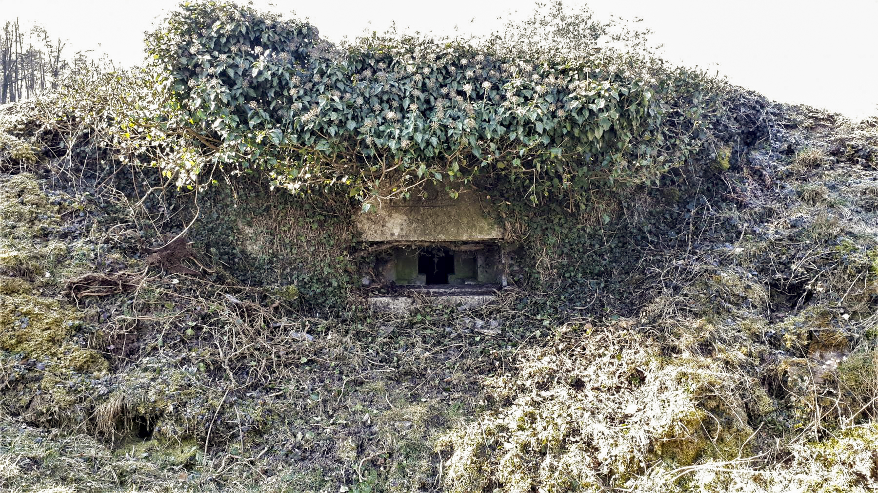 Ligne Maginot - FM127 - PETIT MUEHLBERG NORD - (Blockhaus pour arme infanterie) - Le bloc vue de face - Gregory Fuchs