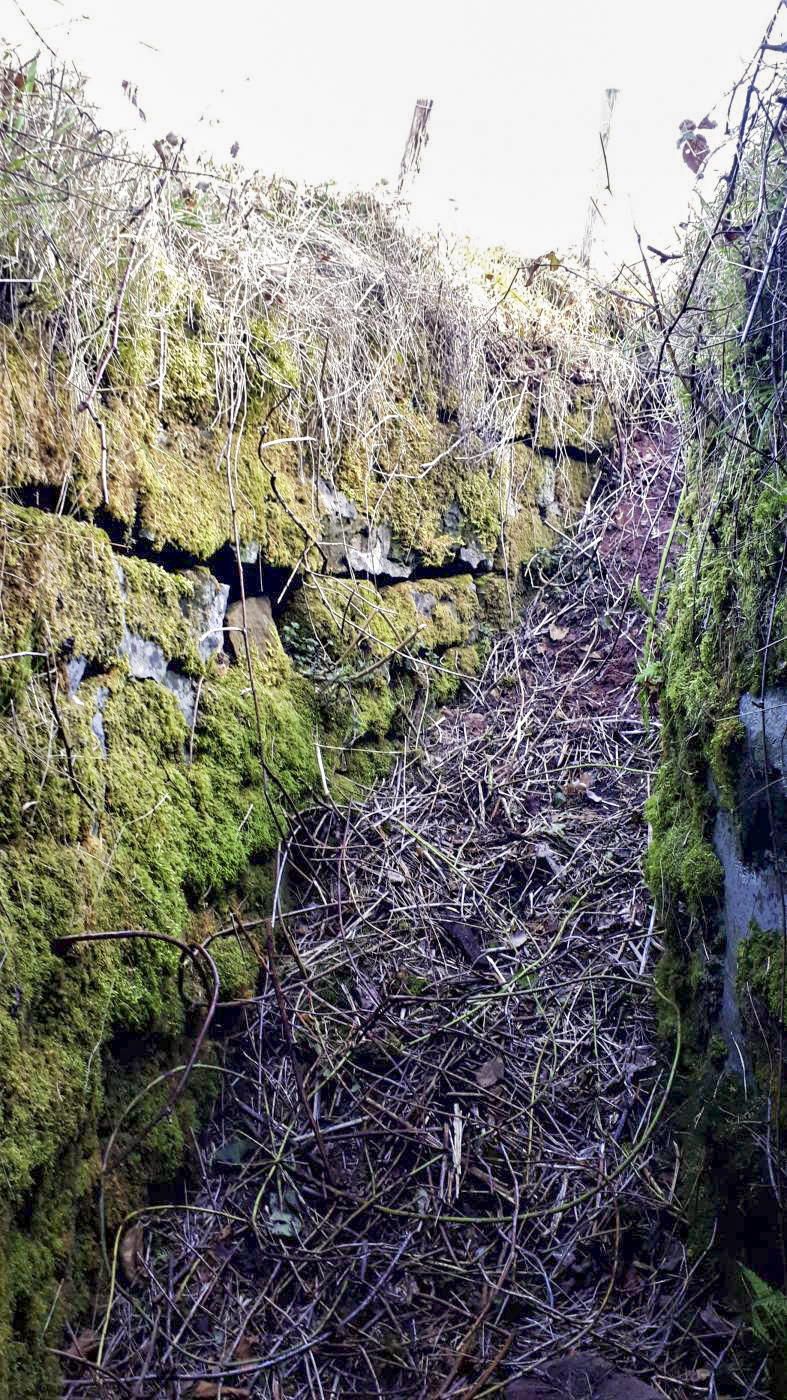 Ligne Maginot - FM127 - PETIT MUEHLBERG NORD - (Blockhaus pour arme infanterie) - La tranchée menant à l'entrée - Gregory Fuchs