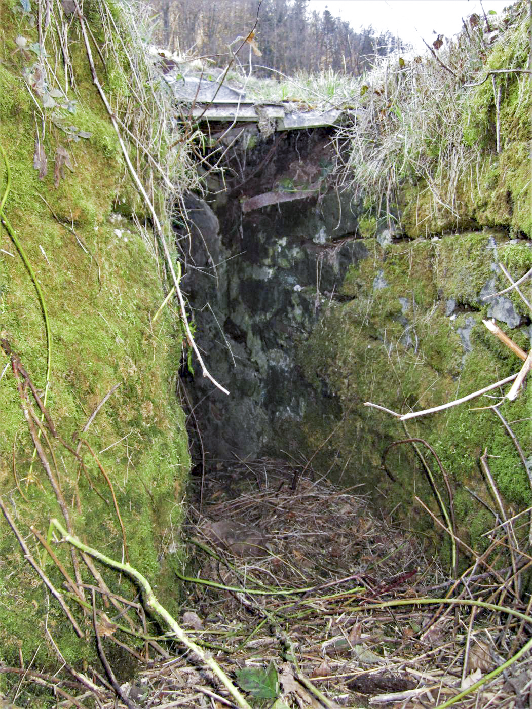Ligne Maginot - FM127 - PETIT MUEHLBERG NORD - (Blockhaus pour arme infanterie) - La tranchée menant à l'entrée - Gregory Fuchs