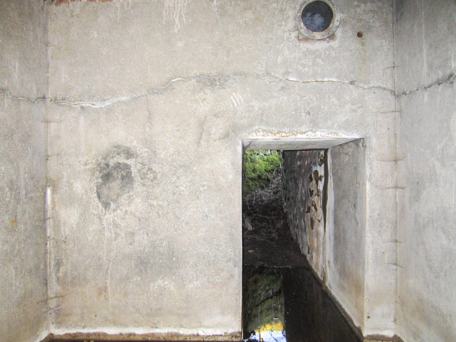 Ligne Maginot - FM127 - PETIT MUEHLBERG NORD - (Blockhaus pour arme infanterie) - L'entrée dans la chambre de tir - Gregory Fuchs