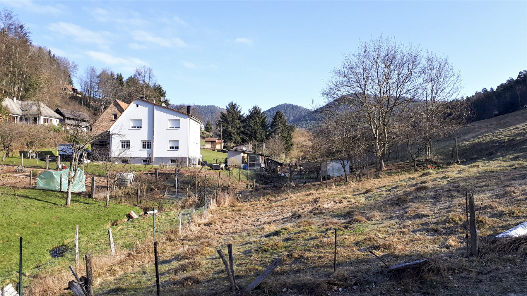 Ligne Maginot - FM127 - PETIT MUEHLBERG NORD - (Blockhaus pour arme infanterie) - Direction de tir du bloc, au fond du vallon de Windstein - Gregory Fuchs