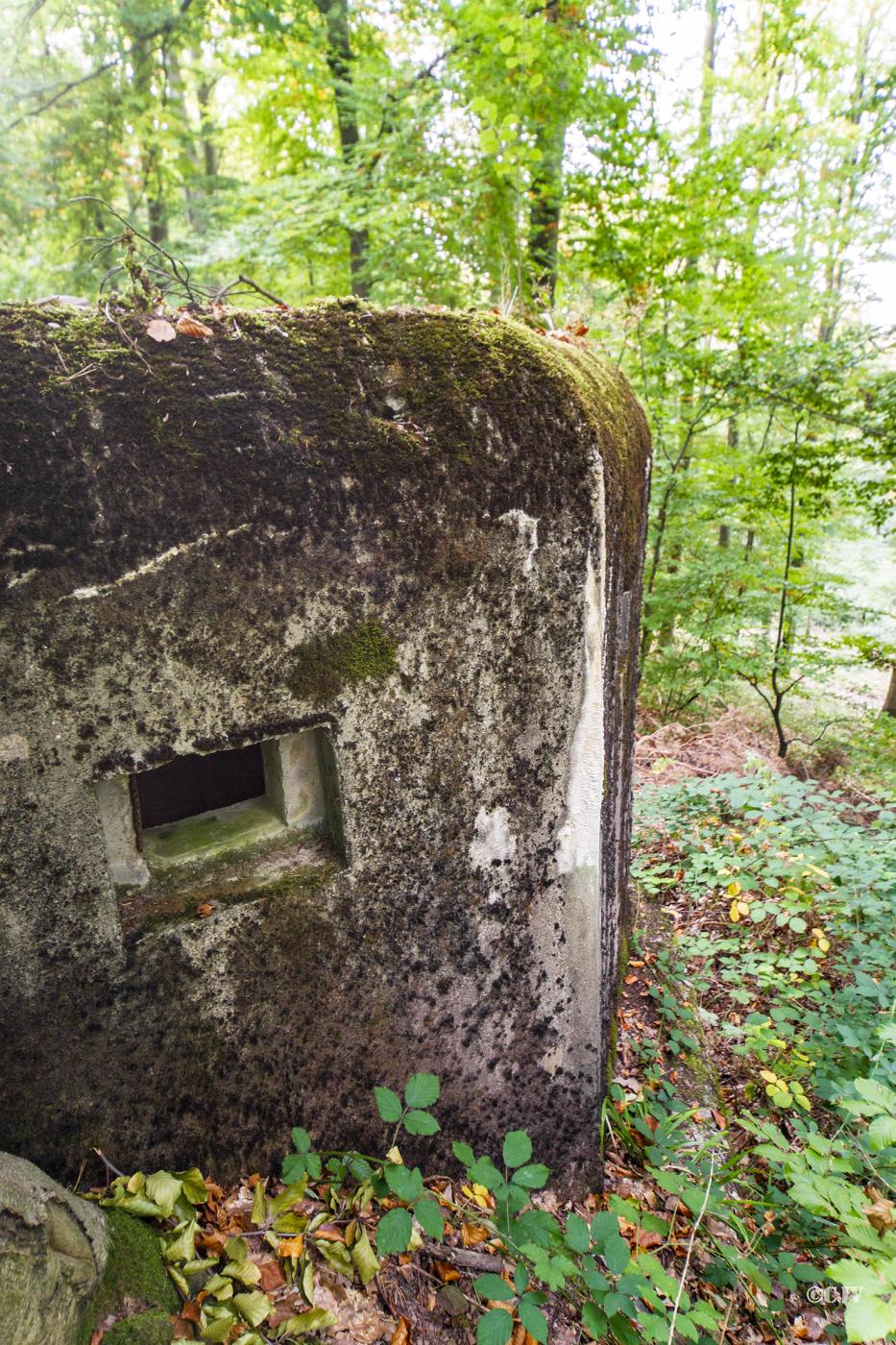Ligne Maginot - GOERSDORF  - (Blockhaus pour arme infanterie) - 