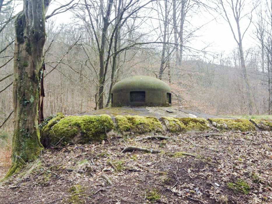Ligne Maginot - GRUNENTHAL - C59 - (Casemate d'infanterie - Double) - 