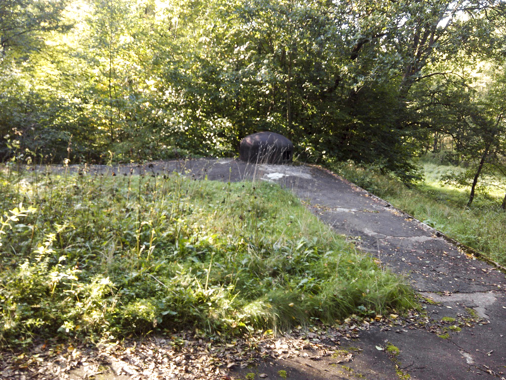 Ligne Maginot - GRUNENTHAL - C59 - (Casemate d'infanterie - Double) - 