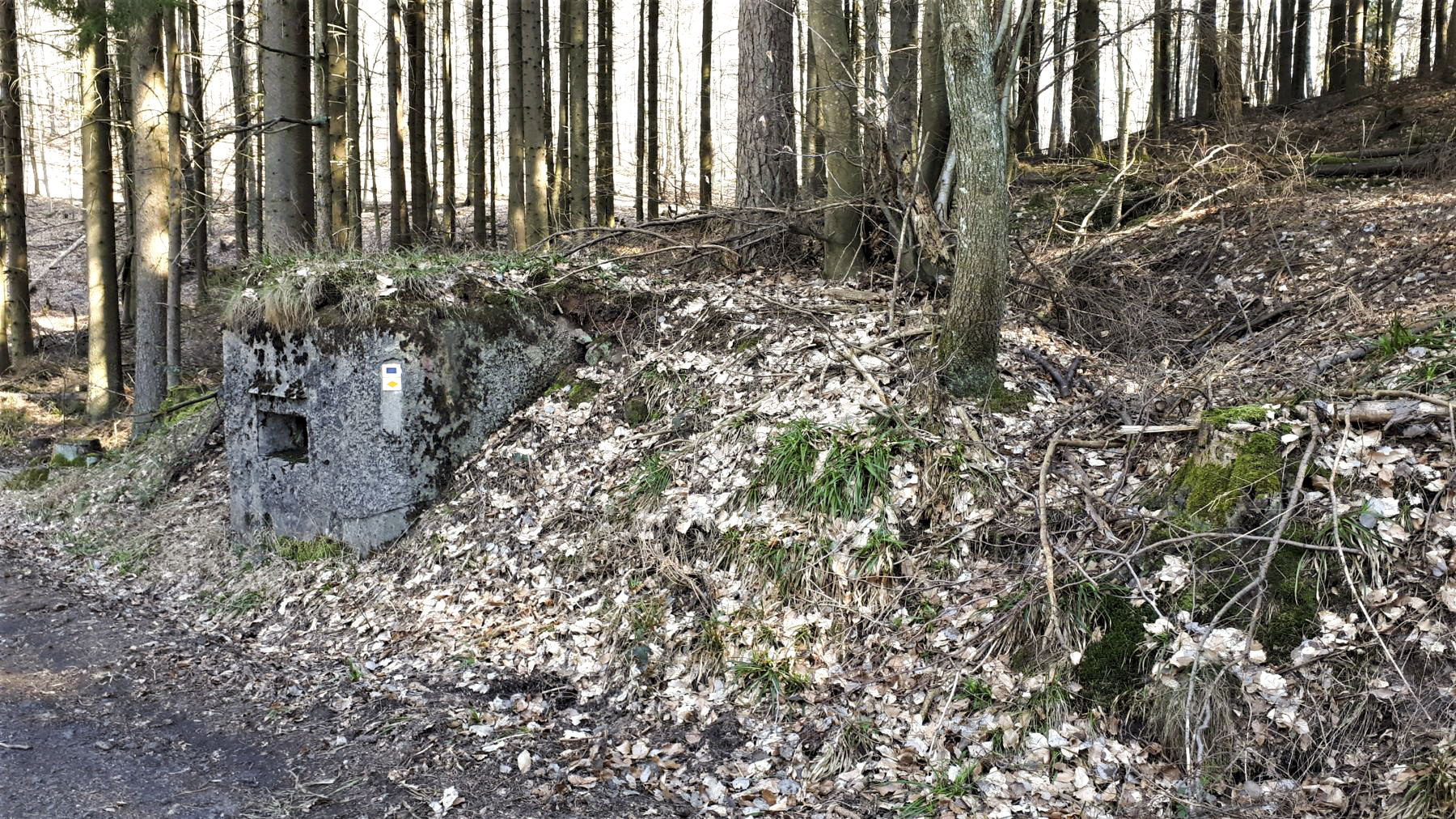 Ligne Maginot - M14 - GUNSTHAL 2 - (Blockhaus pour arme infanterie) - La tranchée d'accès est en partie visible sur la droite - Gregory Fuchs