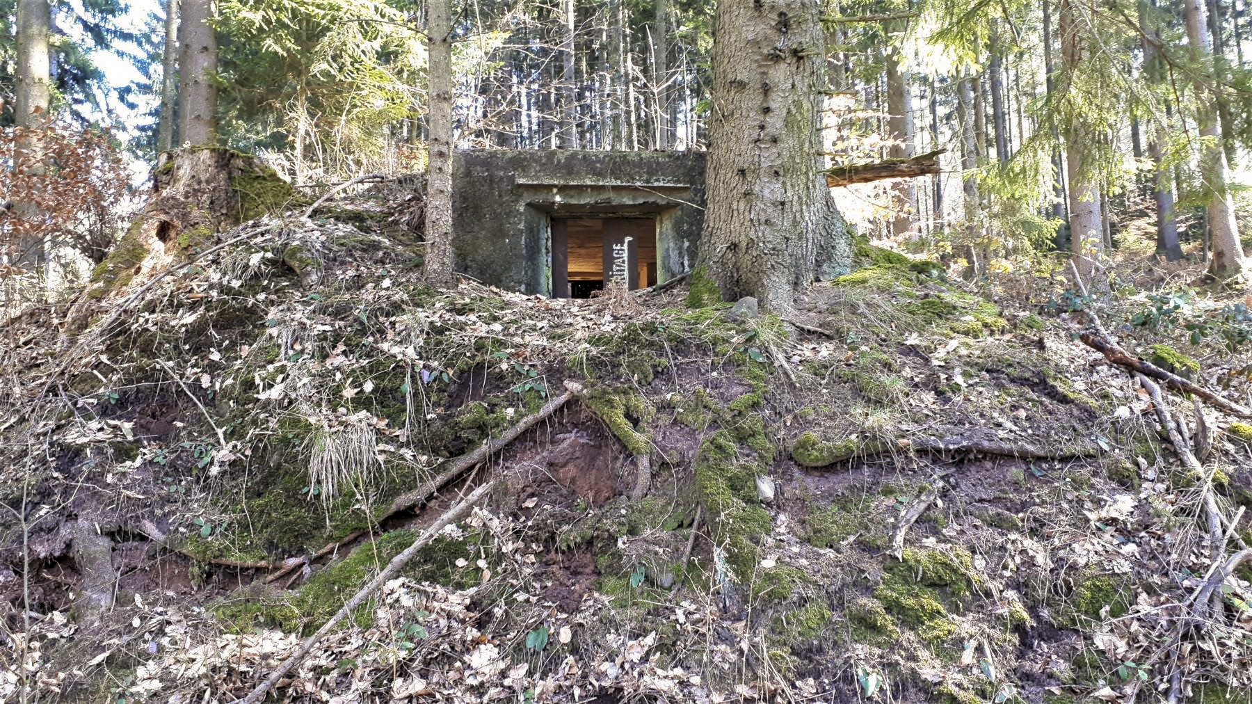 Ligne Maginot - C10 - GUNSTHAL 3 - (Blockhaus pour canon) - Vue sur le créneau antichar