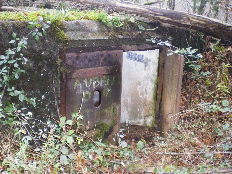 Ligne Maginot - C10 - GUNSTHAL 3 - (Blockhaus pour canon) - L'entrée