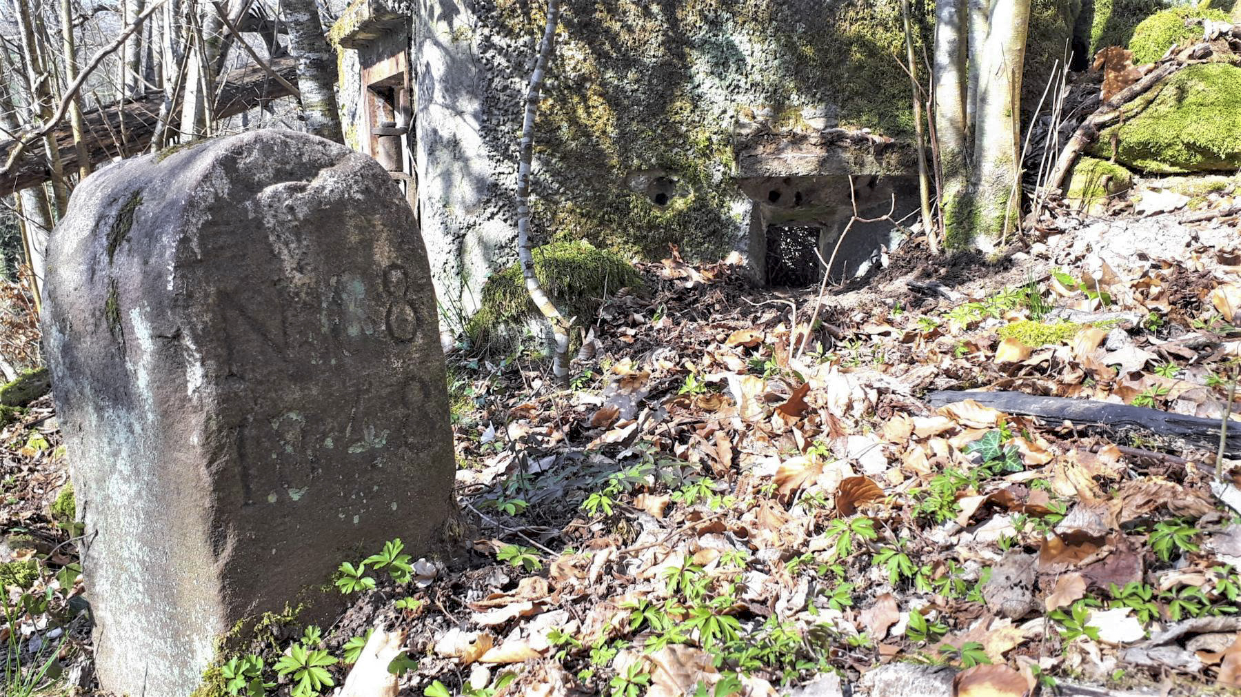 Ligne Maginot - FM10 - HIRTENMATT 2 - (Blockhaus pour arme infanterie) - Créneau latéral droit - Gregory Fuchs