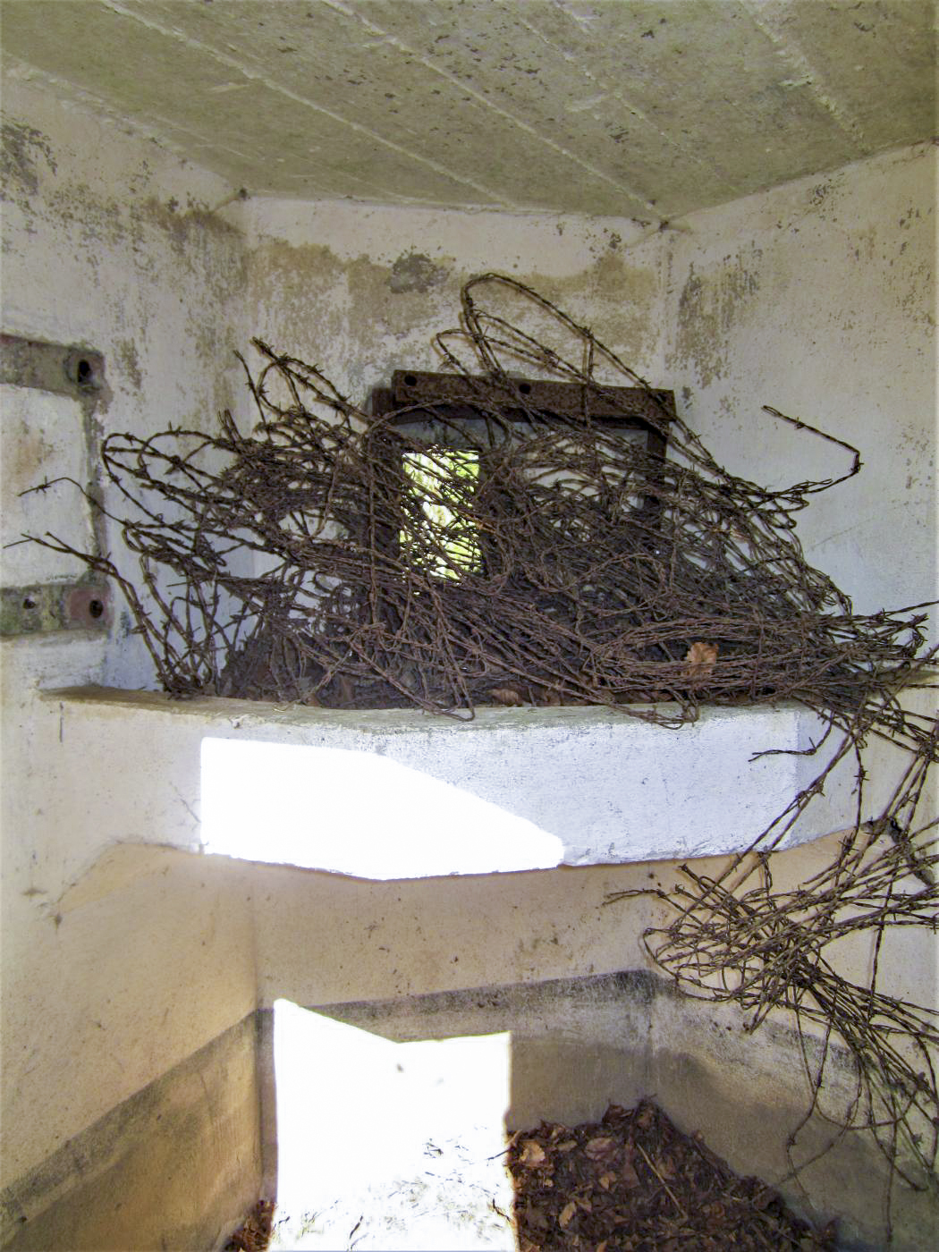 Ligne Maginot - FM10 - HIRTENMATT 2 - (Blockhaus pour arme infanterie) - Créneau frontal avec tablette de tir FM - Gregory Fuchs