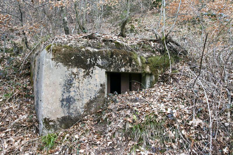 Ligne Maginot - C2 - JAEGERTHAL 1 - (Blockhaus pour canon) - 