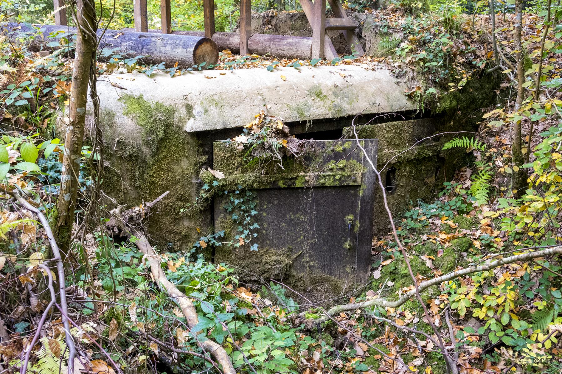 Ligne Maginot - KUHBRUCK OUEST - (Blockhaus pour canon) -  - Lia VERMEULEN