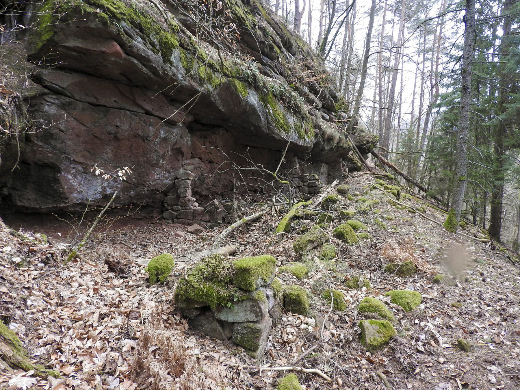 Ligne Maginot - PETIT STEINBERG - (Abri) - Les ruines d'un abri maçonné.