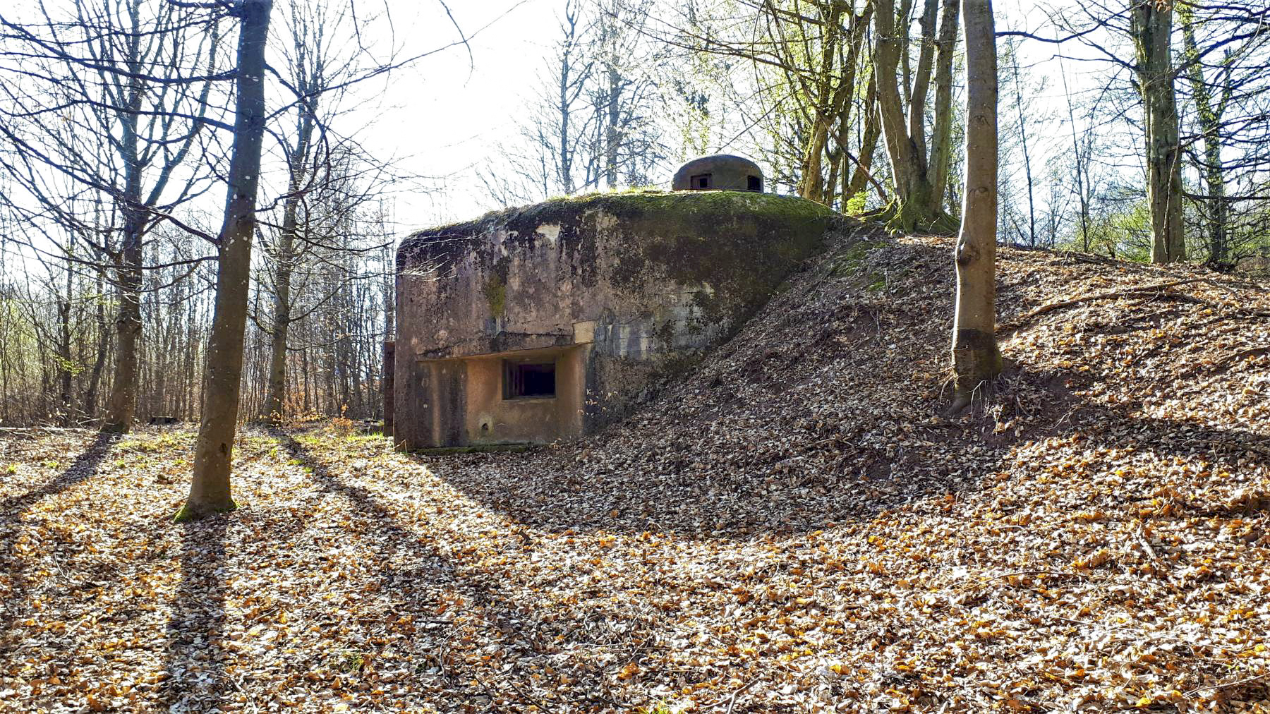 Ligne Maginot - NONNENHARDT N°3 - (Blockhaus pour arme infanterie) - Chambre de tir Est