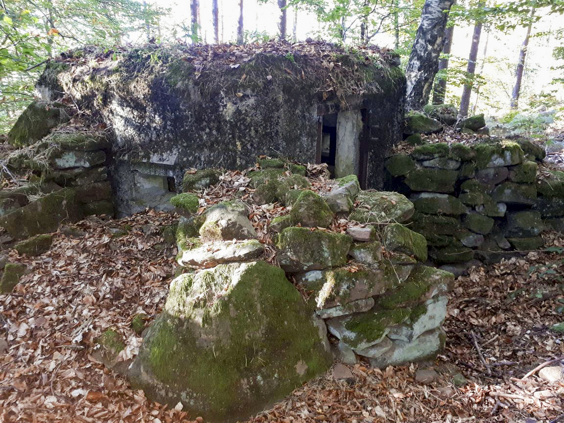 Ligne Maginot - FM41 - GRAND MUEHLBERG 1 - (Blockhaus pour arme infanterie) - L'entrée et le créneau de gauche