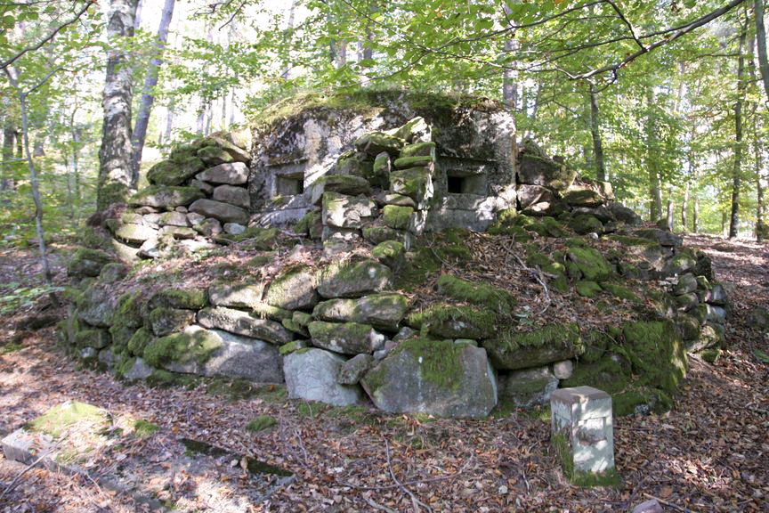 Ligne Maginot - FM41 - GRAND MUEHLBERG 1 - (Blockhaus pour arme infanterie) - Les deux créneaux frontaux