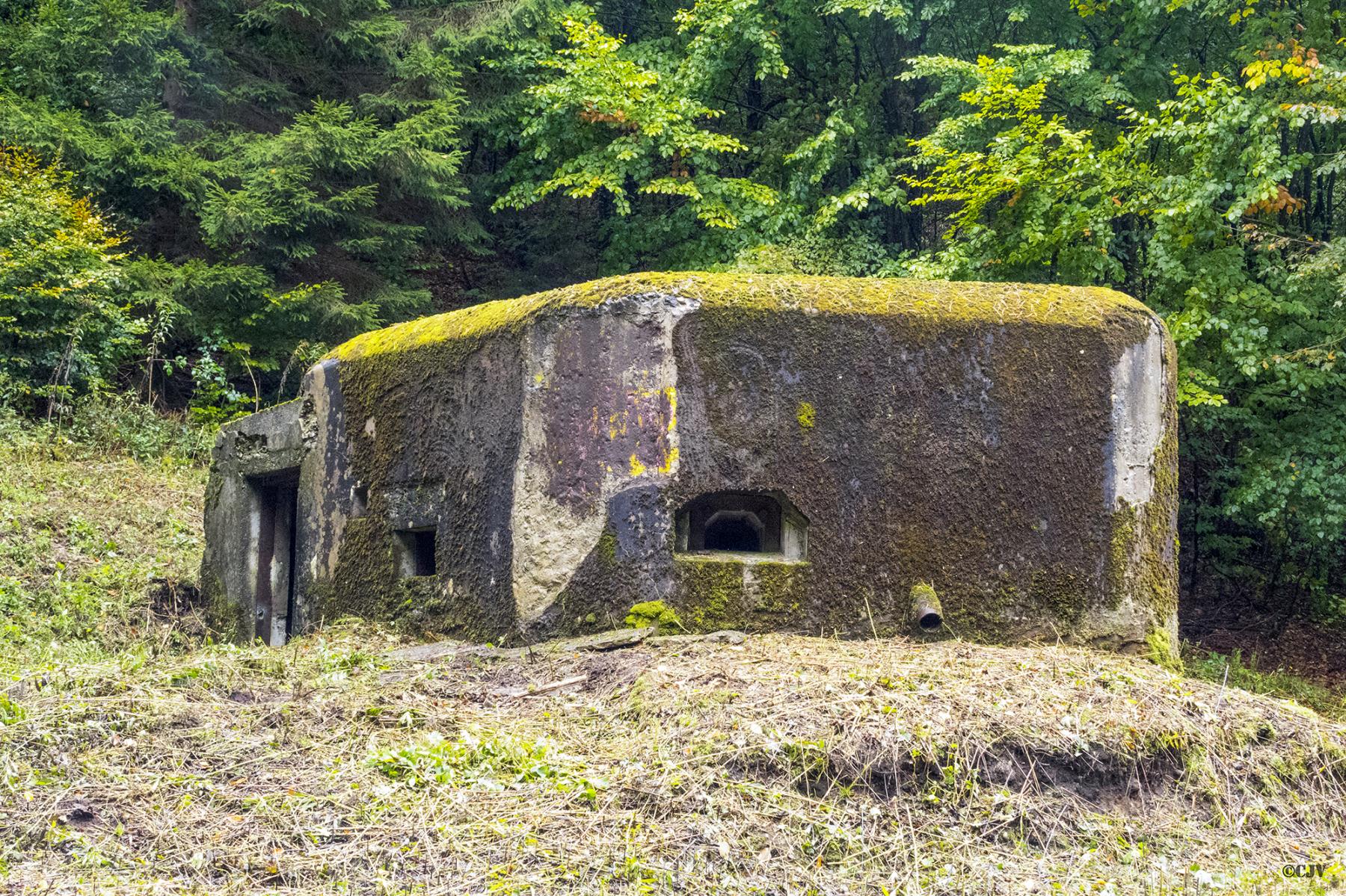 Ligne Maginot - LANGTHAL 1 - (Blockhaus pour arme infanterie) - Vue sur le créneau FM latéral