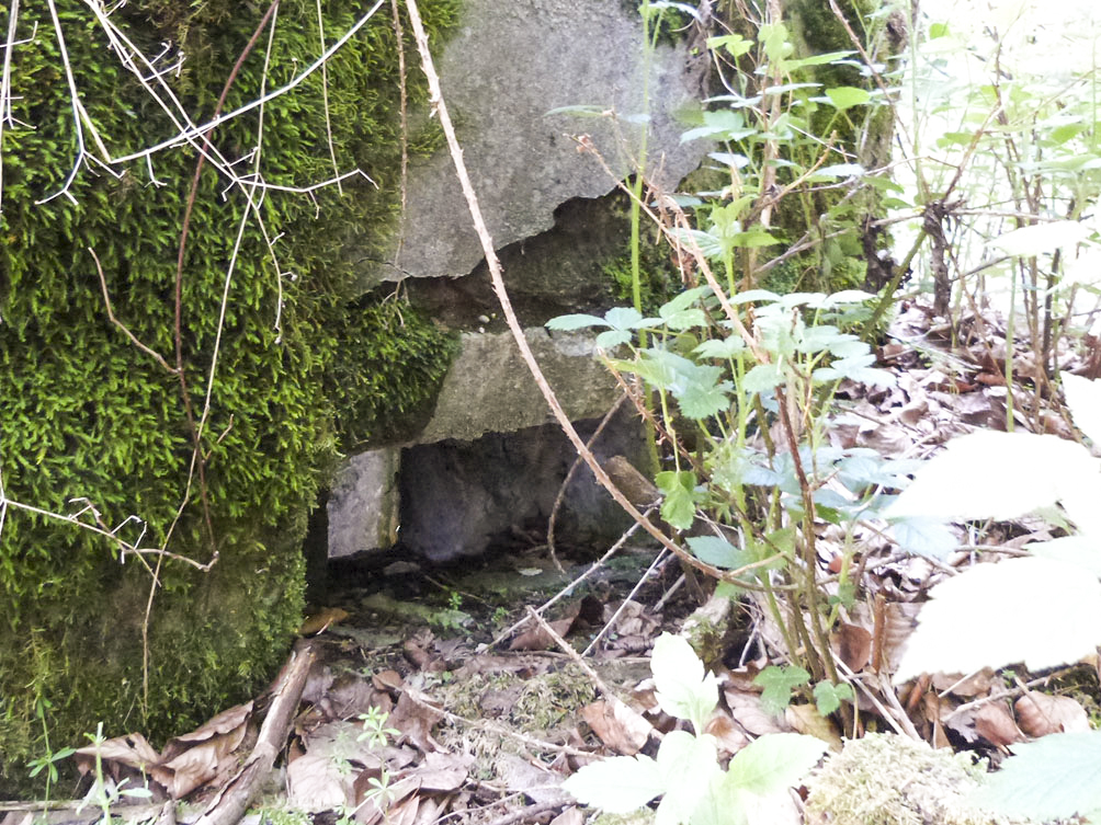 Ligne Maginot - LANGTHAL 1 - (Blockhaus pour arme infanterie) - Un des créneaux du blockhaus de défense rapprochée