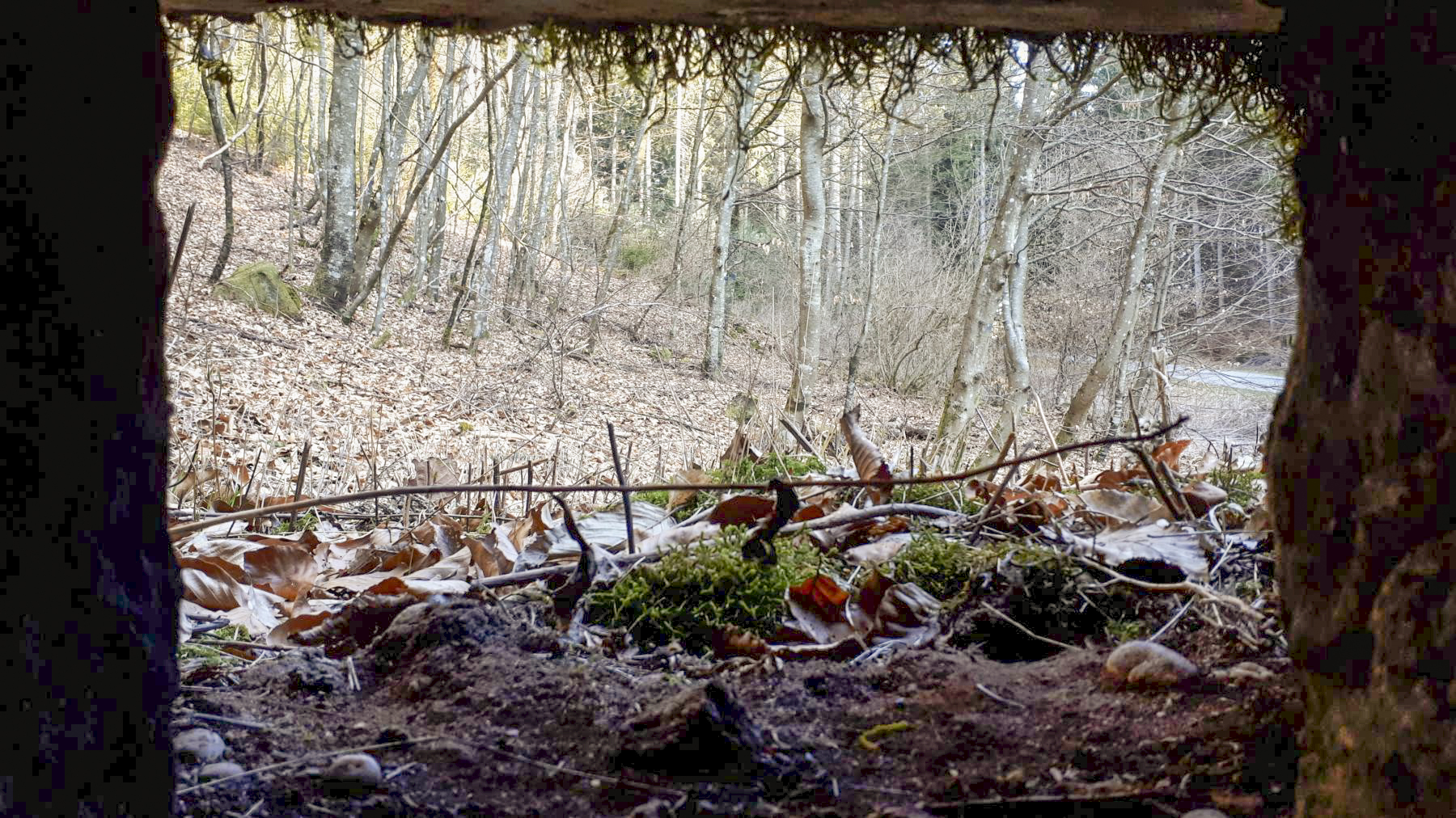 Ligne Maginot - LANGTHAL 1 - (Blockhaus pour arme infanterie) - Vue depuis le créneau droit du blockhaus