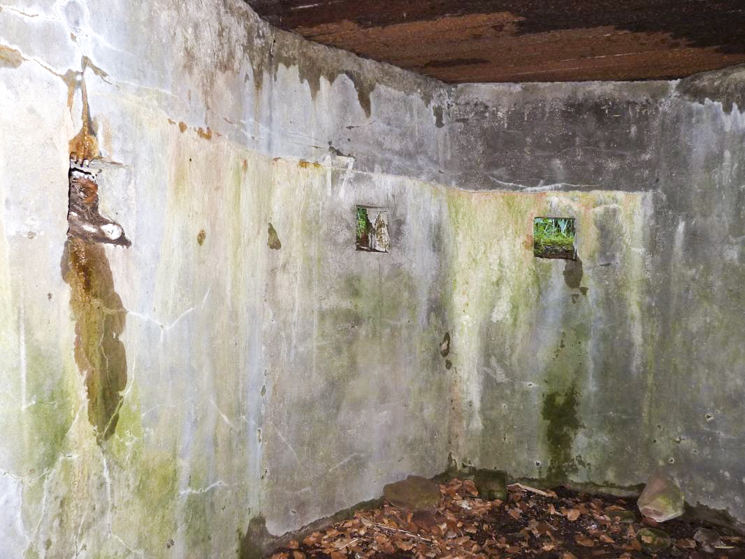 Ligne Maginot - LANGTHAL 1 - (Blockhaus pour arme infanterie) - Le blockhaus de défense rapprochée