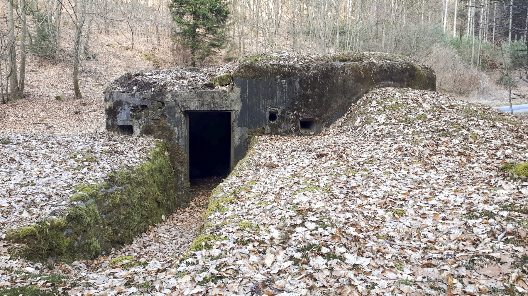 Ligne Maginot - LANGTHAL 2 - (Blockhaus pour arme infanterie) - l'entrée - Gregory Fuchs