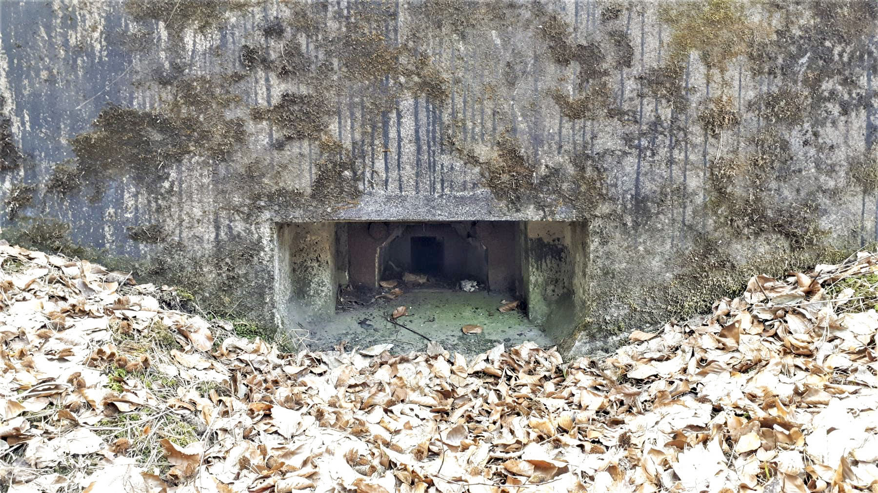 Ligne Maginot - LANGTHAL 2 - (Blockhaus pour arme infanterie) - Détail du créneau FM frontal, noter le bétonnage de la partie basse