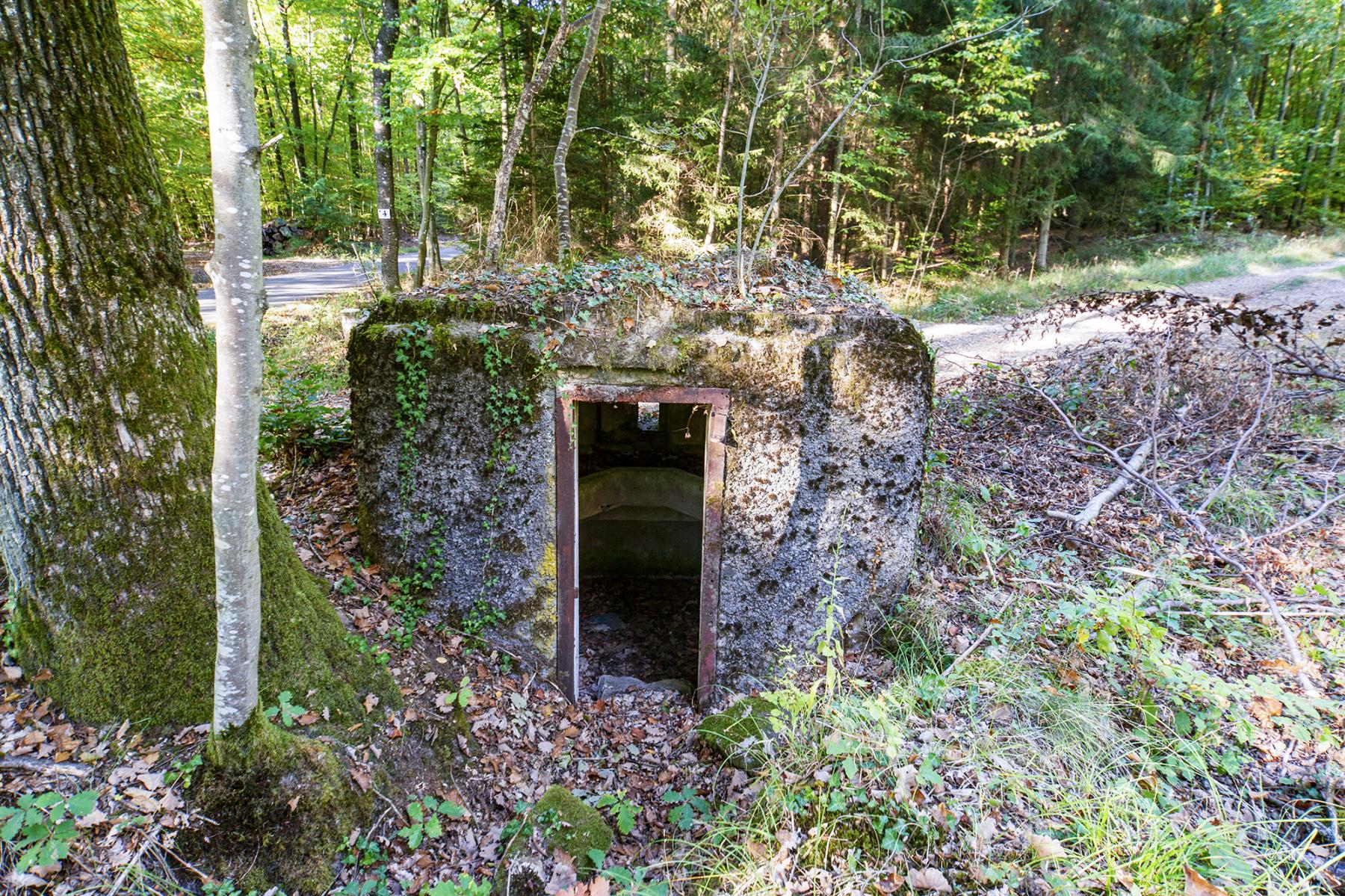 Ligne Maginot - FM50B - MATTSTALL NORD 2 - (Blockhaus pour arme infanterie) -  - Lia VERMEULEN