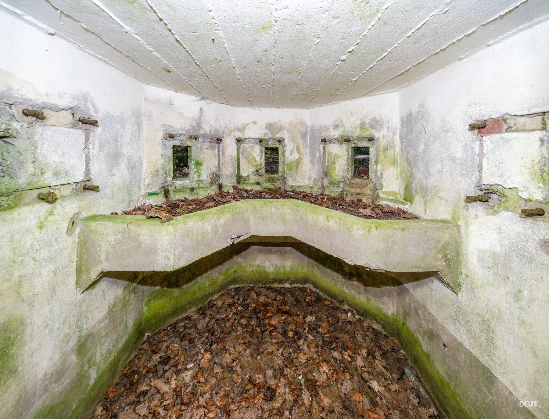 Ligne Maginot - FM50B - MATTSTALL NORD 2 - (Blockhaus pour arme infanterie) -  - Lia VERMEULEN