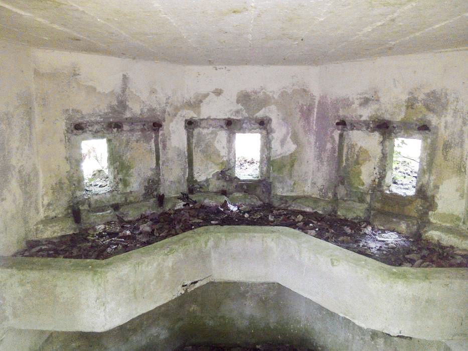 Ligne Maginot - FM50B - MATTSTALL NORD 2 - (Blockhaus pour arme infanterie) -  - donceuh