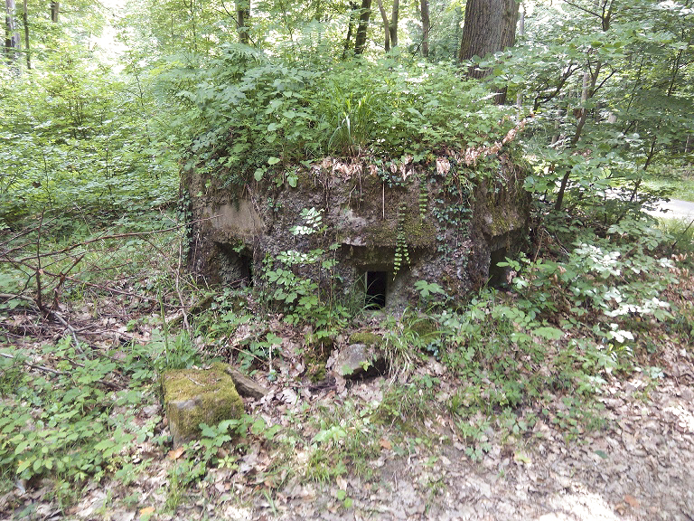 Ligne Maginot - FM50B - MATTSTALL NORD 2 - (Blockhaus pour arme infanterie) -  - donceuh