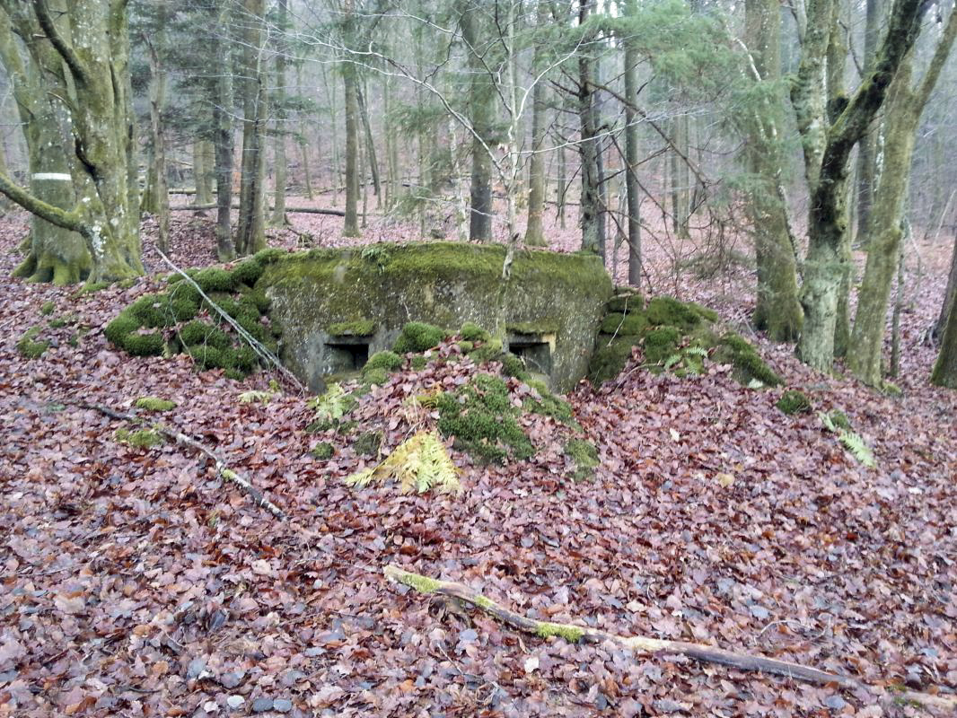 Ligne Maginot - M80 - FINSTERTHAL 4 - (Blockhaus pour arme infanterie) - Vue extérieure des deux embrasures