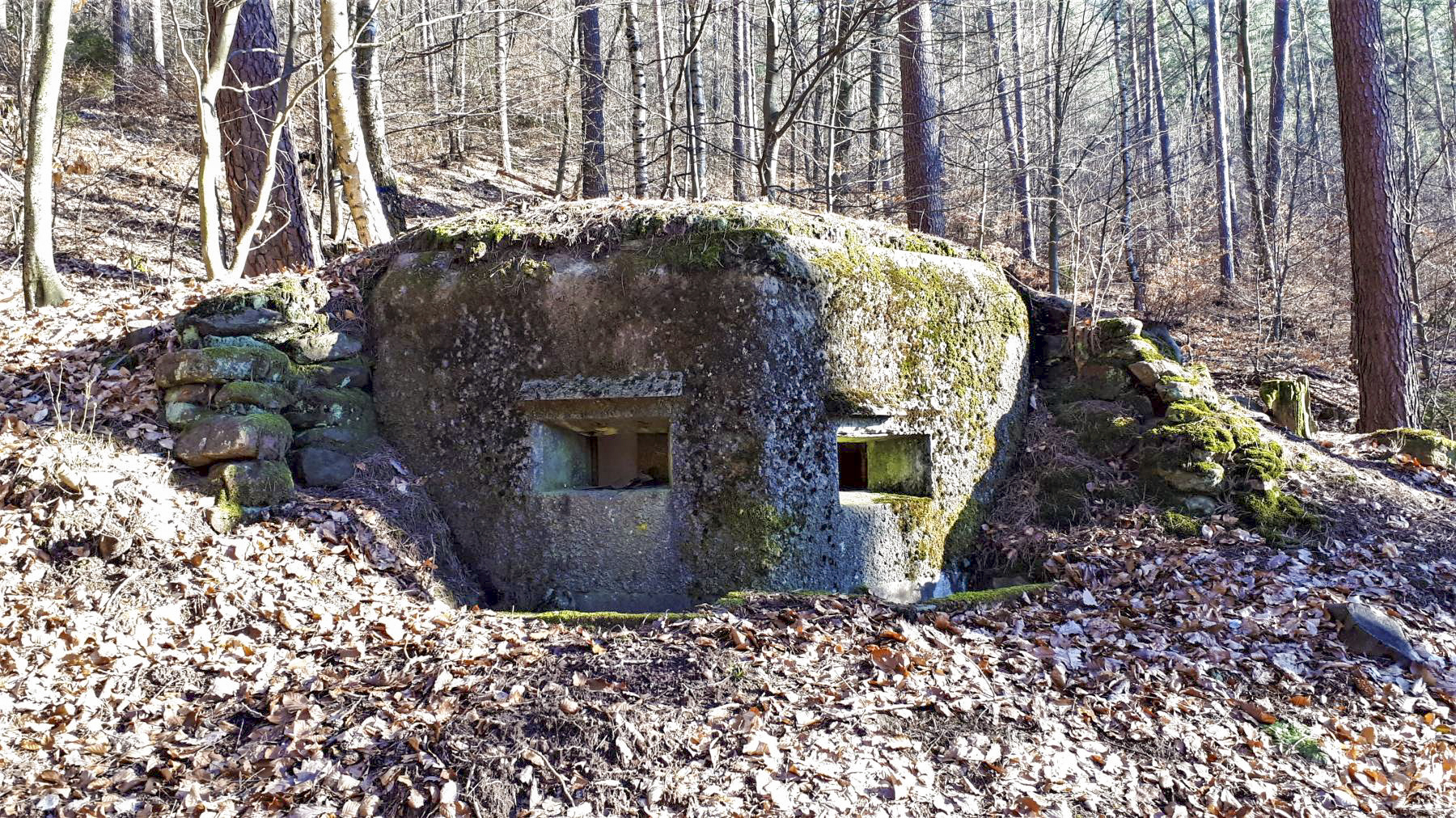 Ligne Maginot - M79 - BETZENTHAL 2 - (Blockhaus pour arme infanterie) - Vue de face, noter le décalage des créneaux - Gregory Fuchs