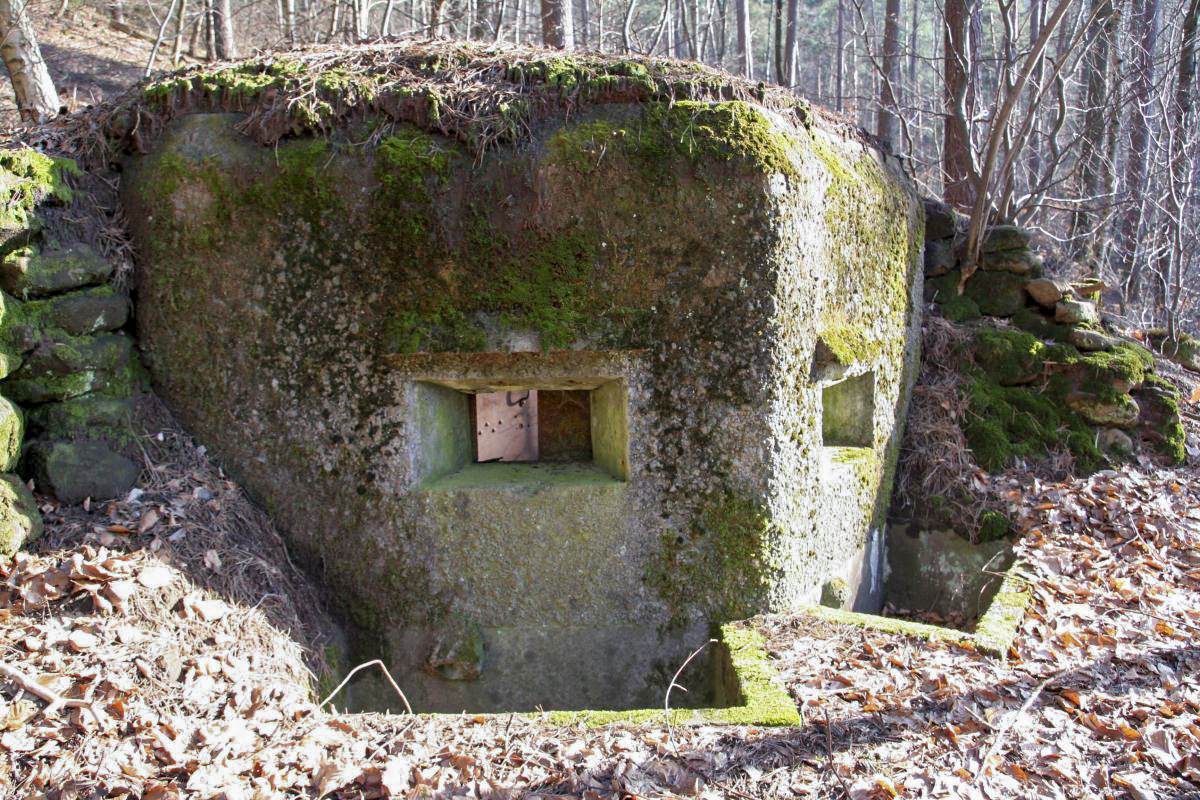 Ligne Maginot - M79 - BETZENTHAL 2 - (Blockhaus pour arme infanterie) - Vue sur le créneau de droite, noter les fosses à douilles aménagées devant les créneaux - B.HENRICH