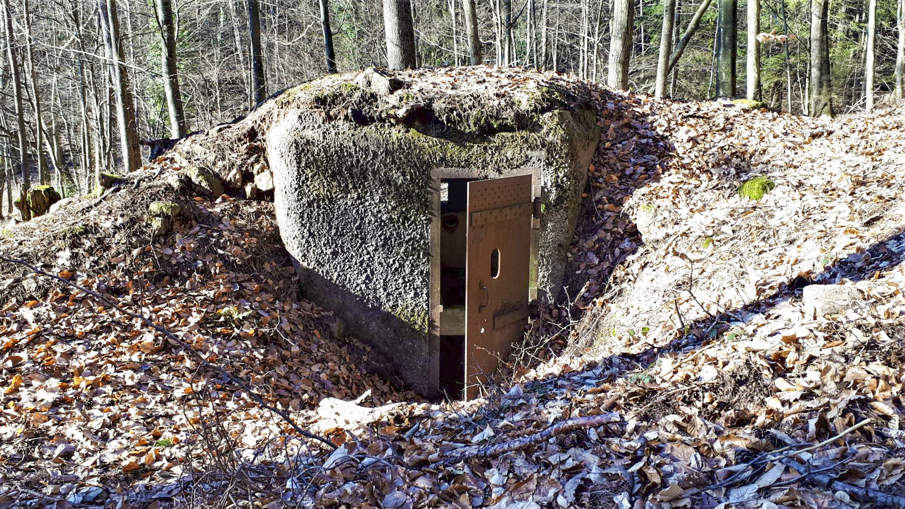 Ligne Maginot - M79 - BETZENTHAL 2 - (Blockhaus pour arme infanterie) - L'entrée - Gregory Fuchs