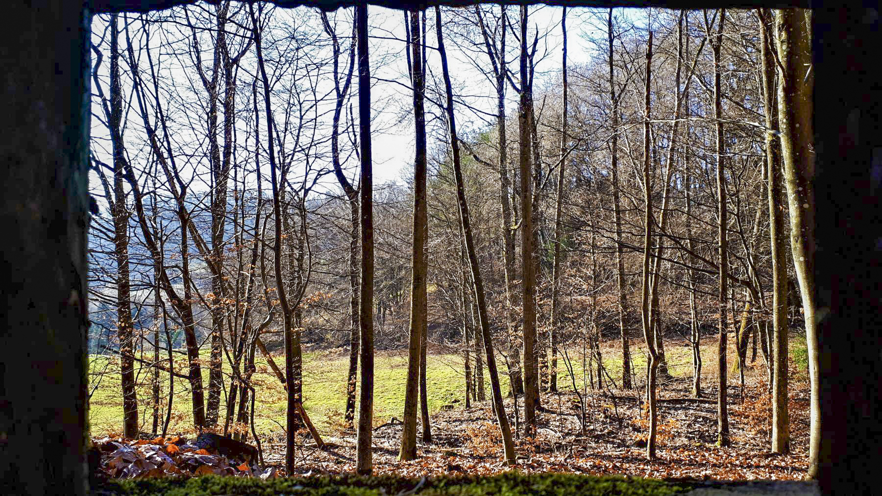 Ligne Maginot - M79 - BETZENTHAL 2 - (Blockhaus pour arme infanterie) - Vue depuis le créneau gauche, axé au nord-ouest - Gregory Fuchs