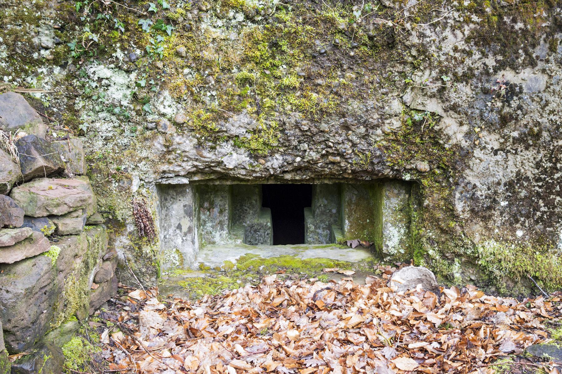 Ligne Maginot - M28 - BETZENTHAL 1 - (Blockhaus pour arme infanterie) - Détail du créneau nord-est