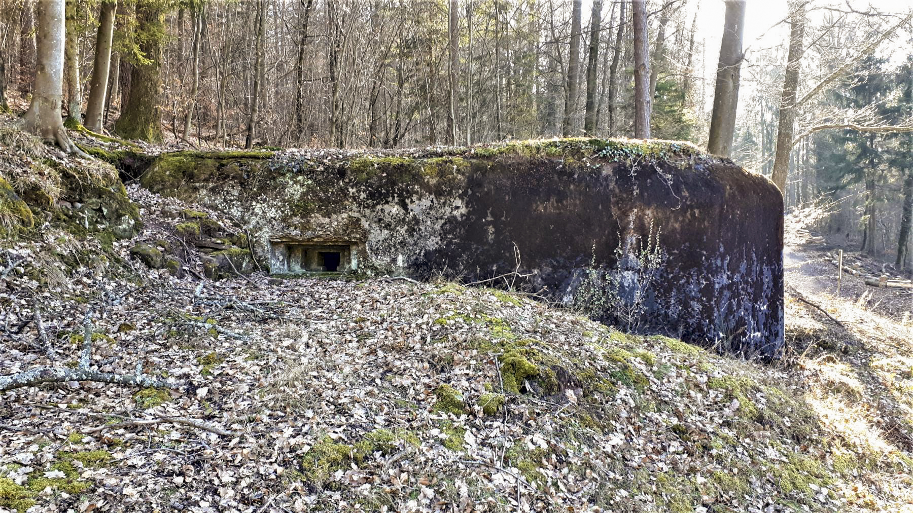 Ligne Maginot - M28 - BETZENTHAL 1 - (Blockhaus pour arme infanterie) - Le créneau nord-est