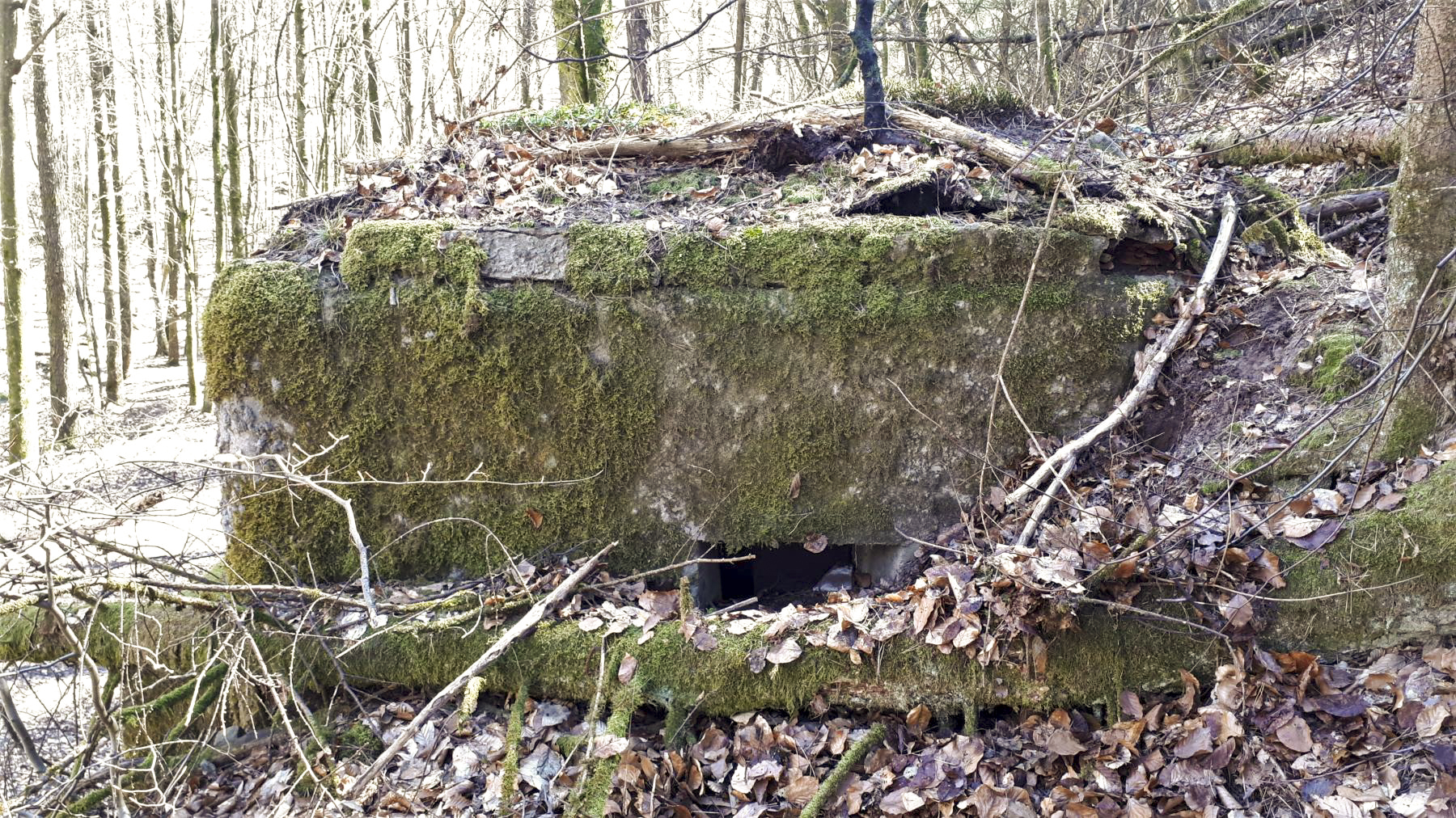 Ligne Maginot - M13 - NONNENHARDT OUEST 2 - (Blockhaus pour arme infanterie) - Créneau latéral