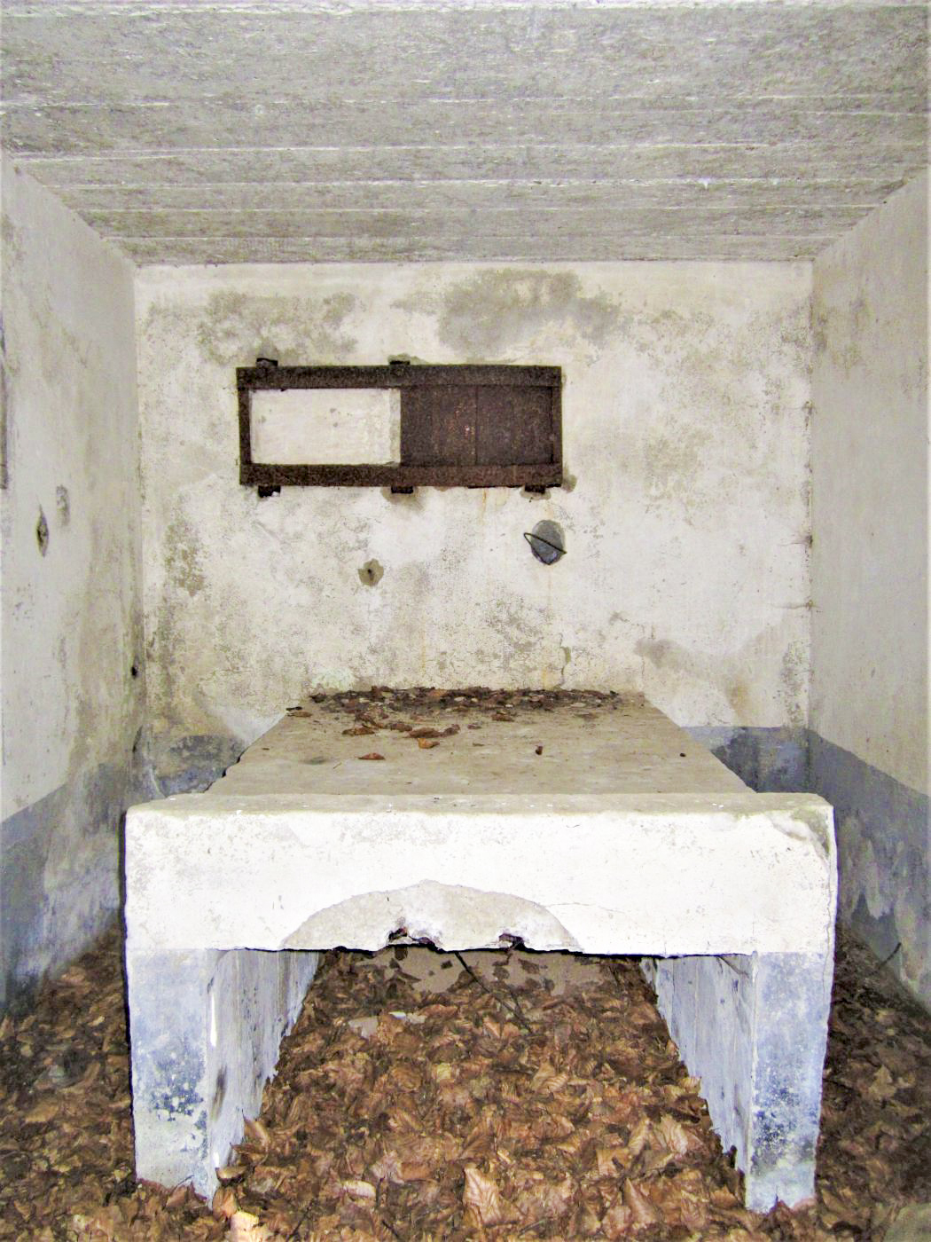 Ligne Maginot - M13 - NONNENHARDT OUEST 2 - (Blockhaus pour arme infanterie) - Chambre de tir