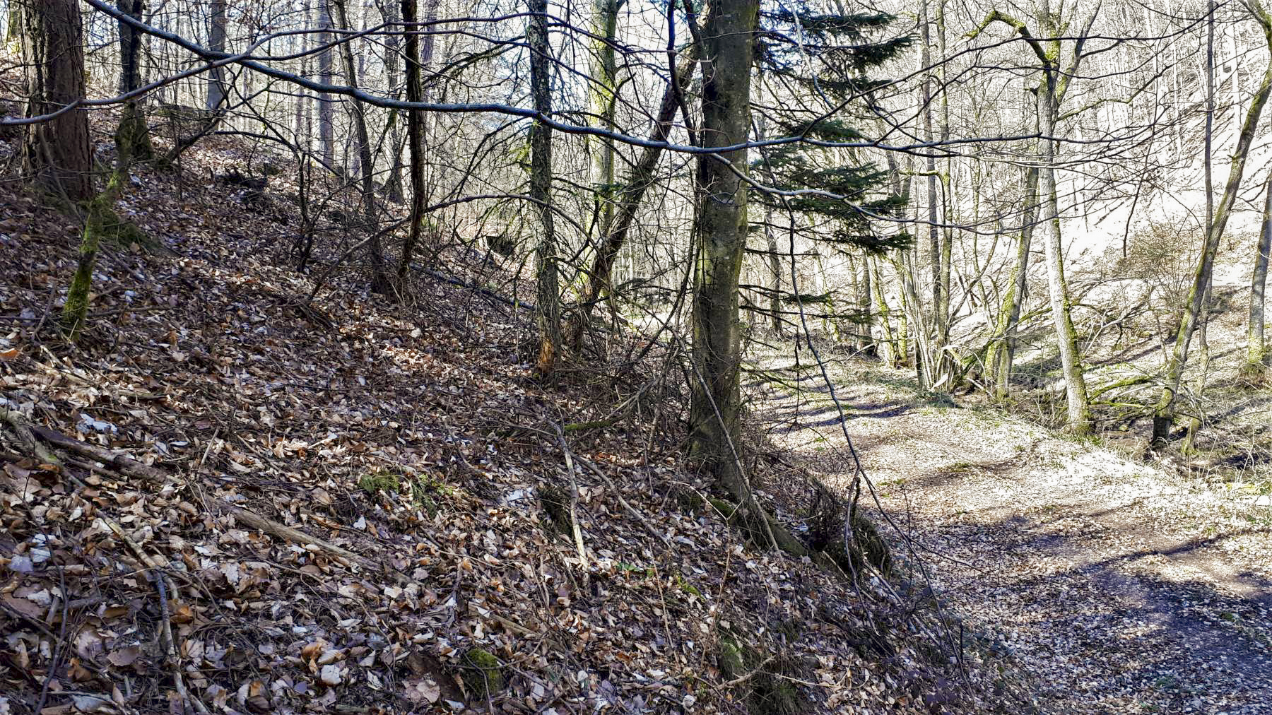 Ligne Maginot - M13 - NONNENHARDT OUEST 2 - (Blockhaus pour arme infanterie) - Direction de tir du créneau latéral