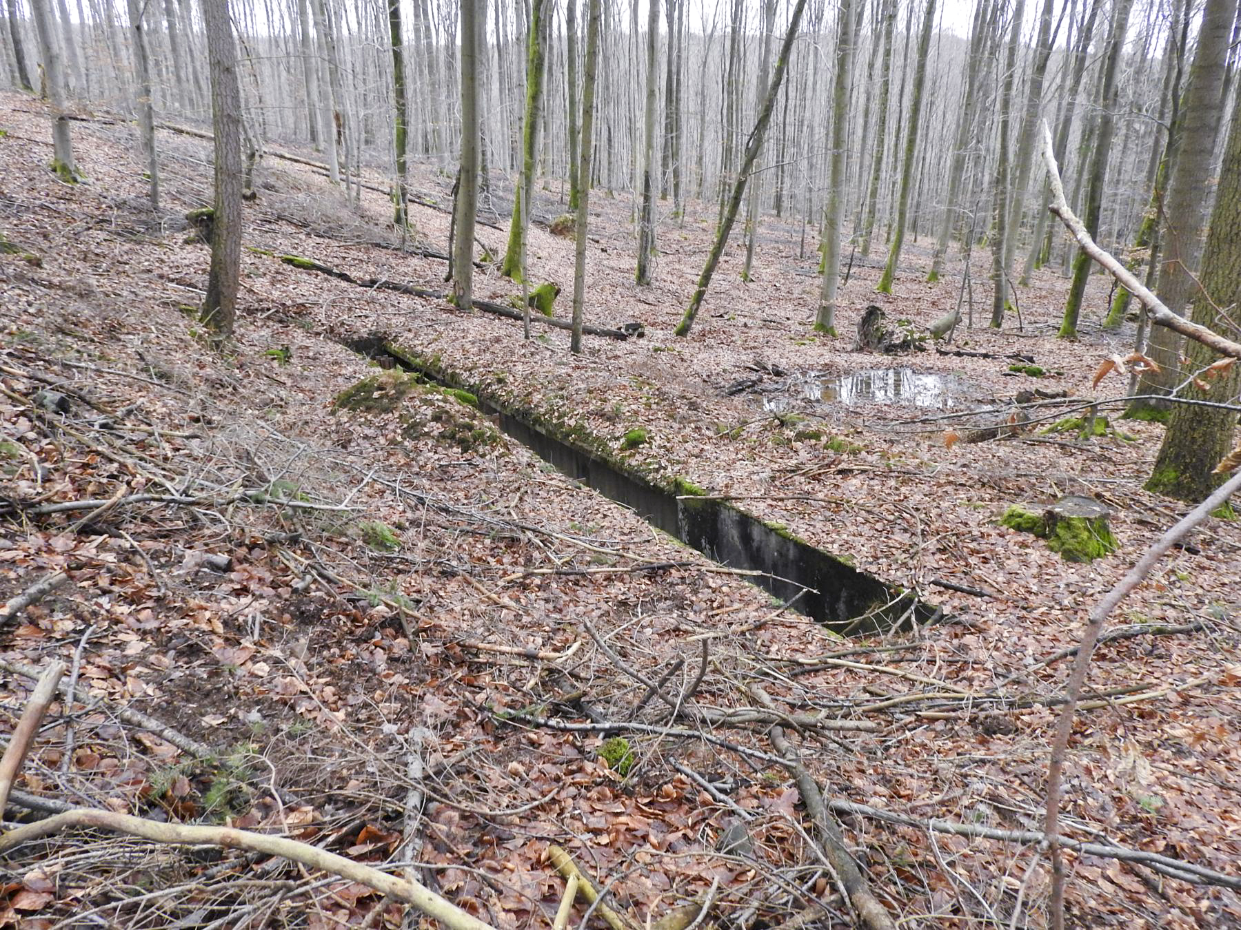 Ligne Maginot - MARKBACH - (Stand de tir) - Le stand de tir en avant du blockhaus - STENGER Mathieu
