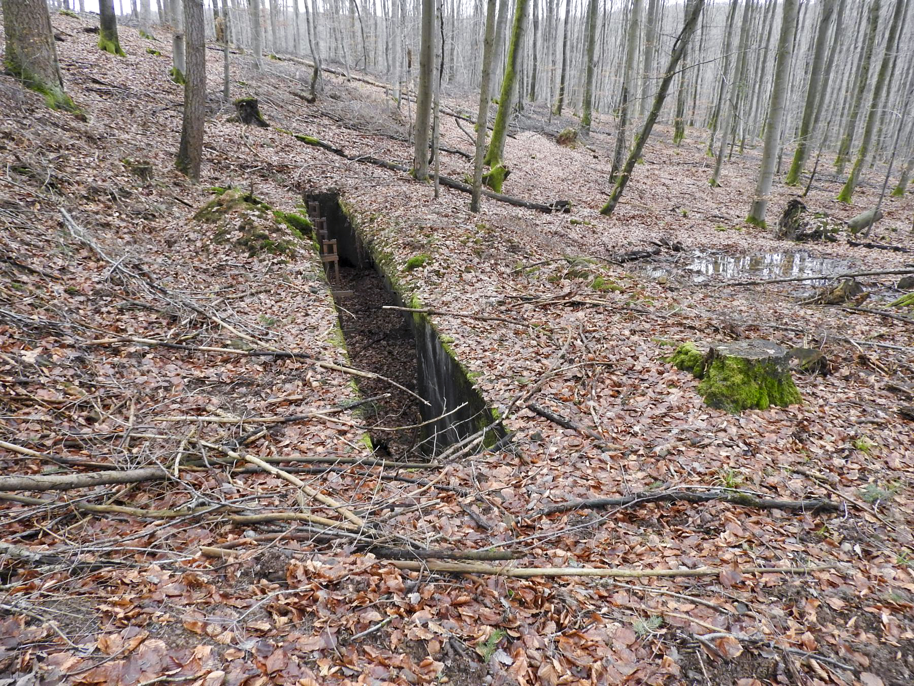 Ligne Maginot - MARKBACH - (Stand de tir) - Le stand de tir en avant du blockhaus