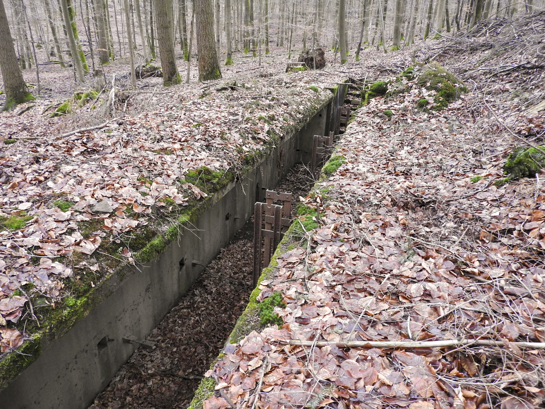 Ligne Maginot - MARKBACH - (Stand de tir) - La tranchée porte-cibles