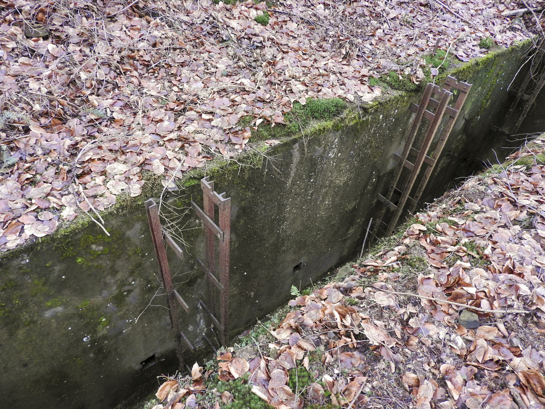Ligne Maginot - MARKBACH - (Stand de tir) - La tranchée porte-cibles