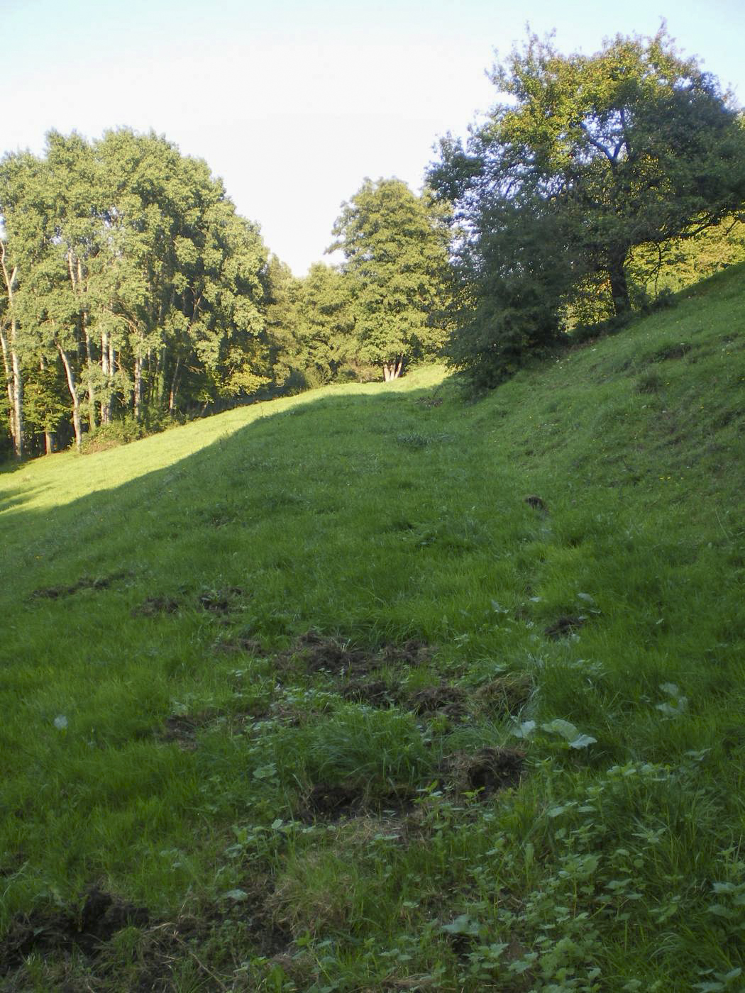 Ligne Maginot - VF60 -Antenne du Four-à-Chaux - 4 - EVITEMENT DU VERLORENERBACH
L'un des emplacements possibles de l'évitement