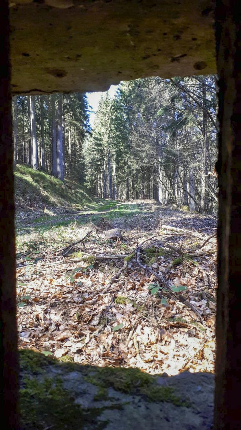 Ligne Maginot - FM34 - NONNENHARDT CENTRE 1 - (Blockhaus pour arme infanterie) - Vue depuis le créneau frontal