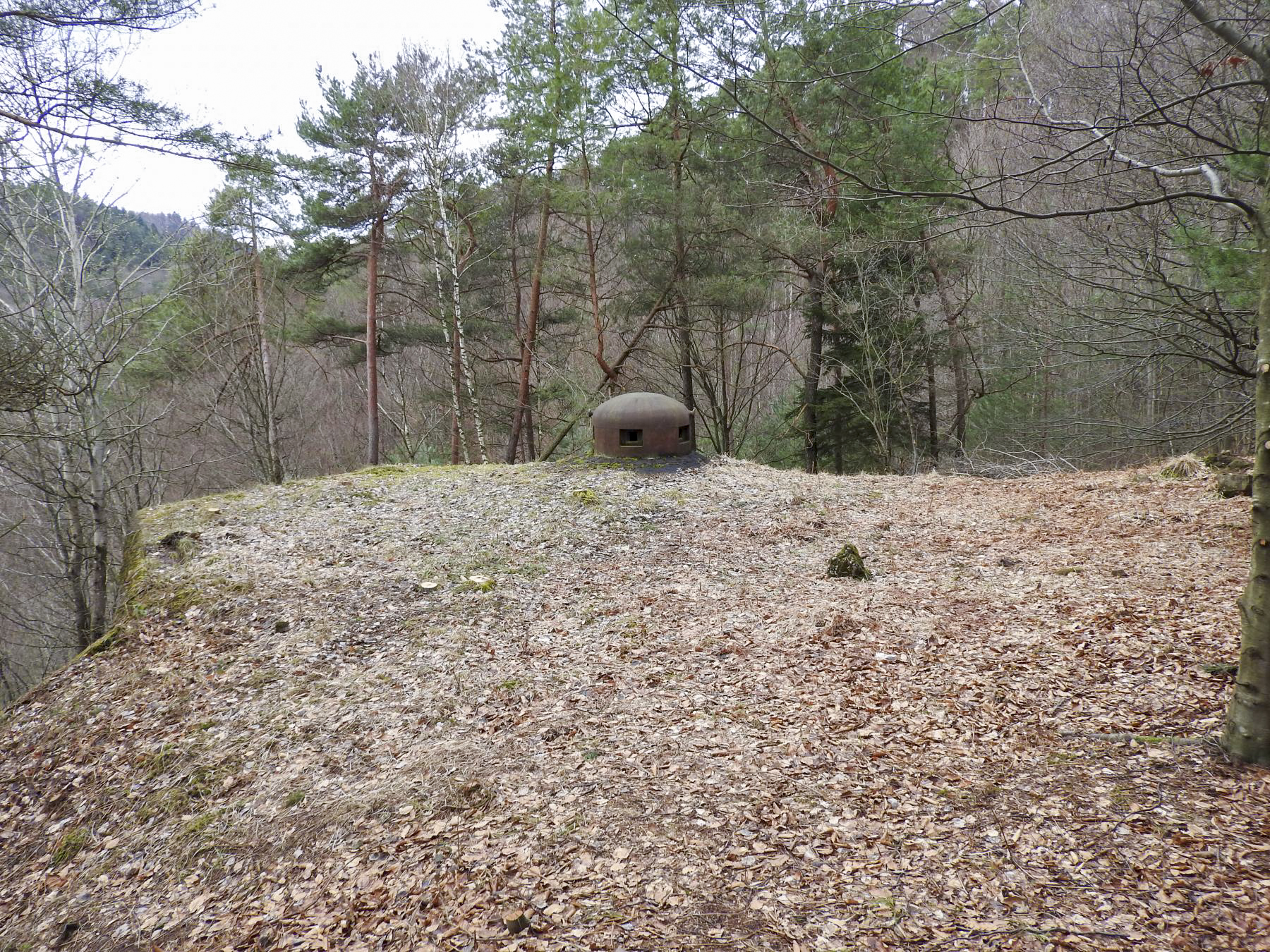 Ligne Maginot - NONNENHARDT N°1 - (Blockhaus pour arme infanterie) - La dalle du blockhaus et la cloche GFM
