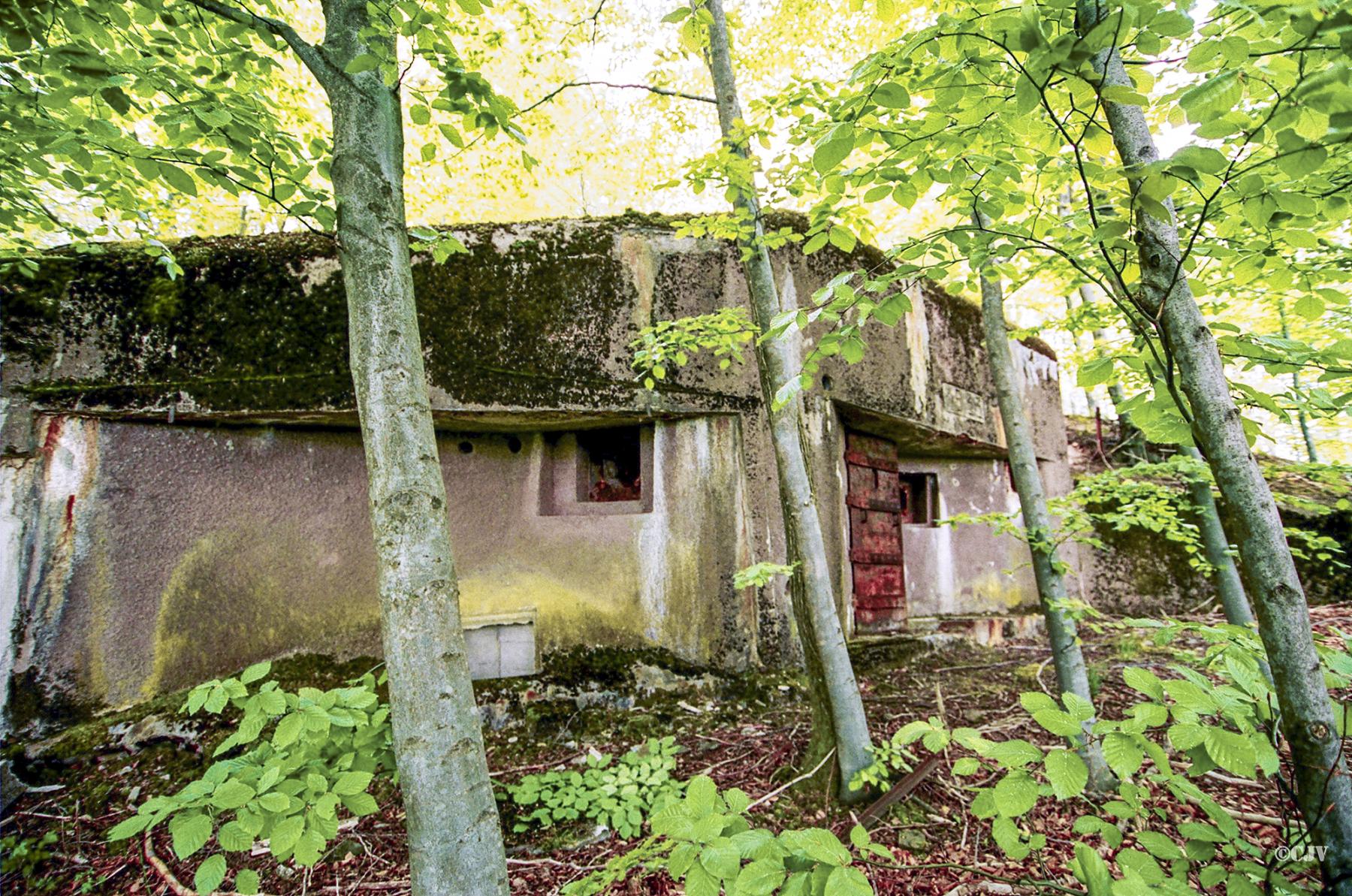Ligne Maginot - NONNENHARDT N°2 - (Blockhaus pour arme infanterie) - Vue générale vers la chambre de tir