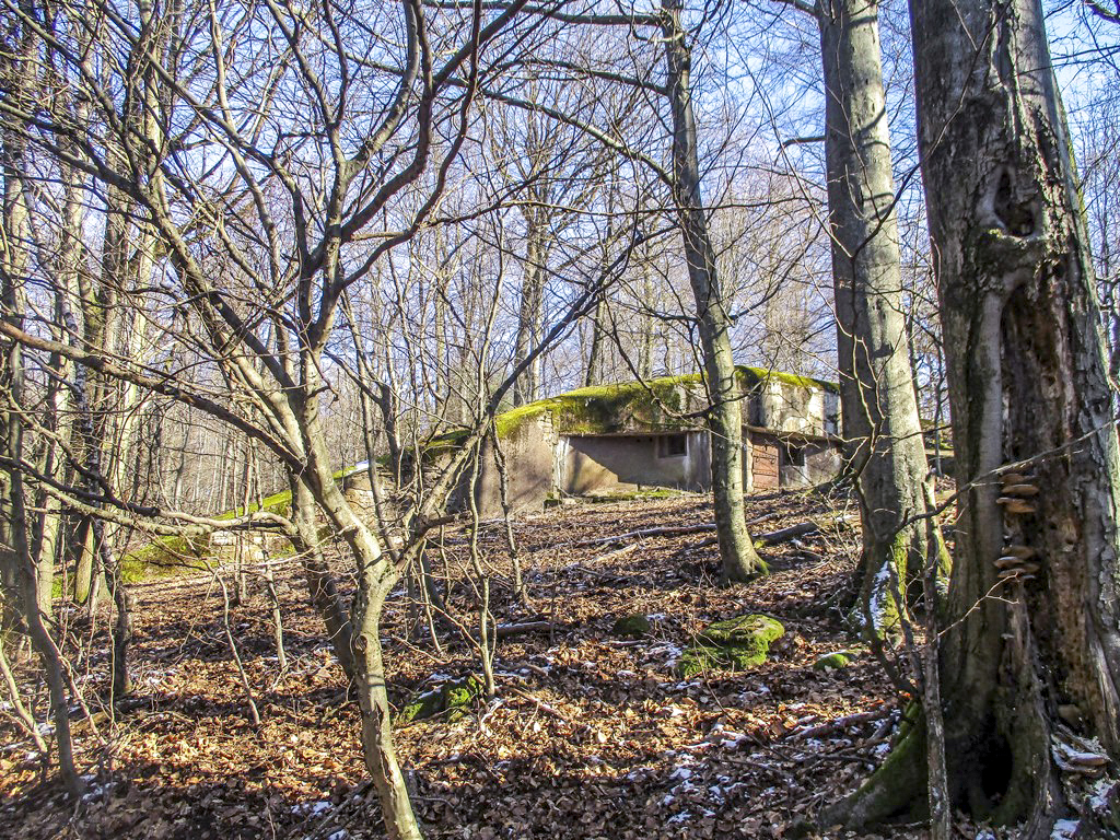 Ligne Maginot - NONNENHARDT N°2 - (Blockhaus pour arme infanterie) - Le blockhaus dans le bois de Nonnenhardt