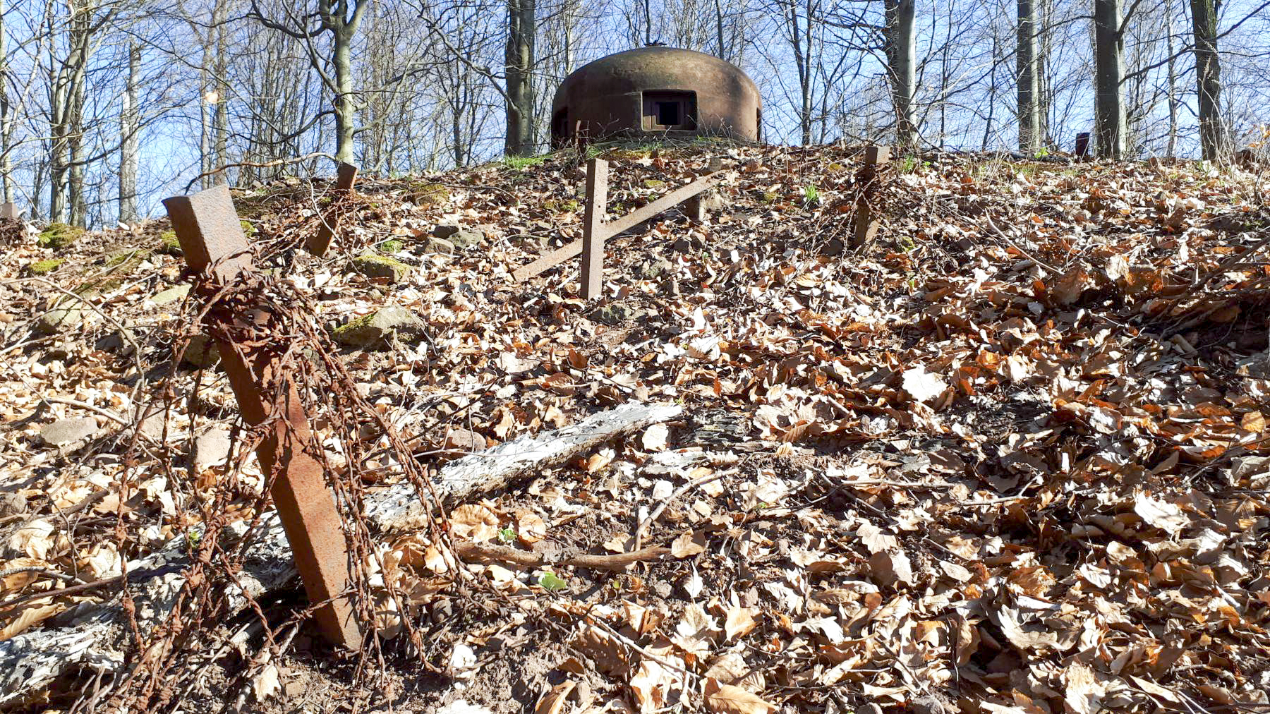 Ligne Maginot - NONNENHARDT N°2 - (Blockhaus pour arme infanterie) - Réseau barbelés devant la cloche GFM