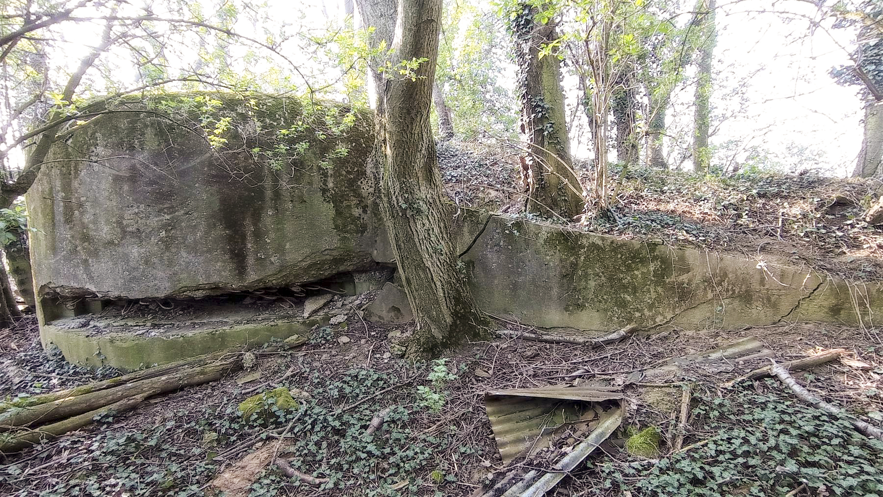 Ligne Maginot - BUCHHOLZBERG - O76 - (Observatoire d'artillerie) - Créneau Nord-Ouest